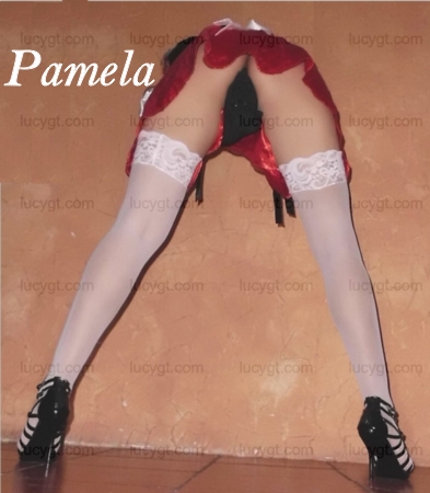dama de compaia guatemala